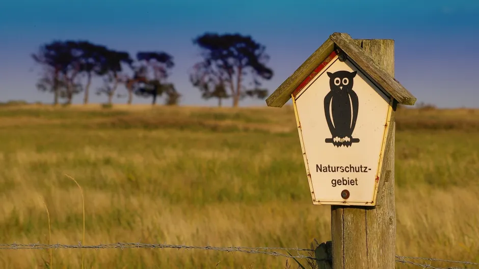 Naturschutzgebiet_gross_c._Pixabay